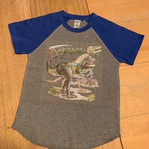 Dinosaur Graphic Tee NWOT